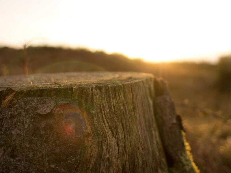 feedback screenshot 1